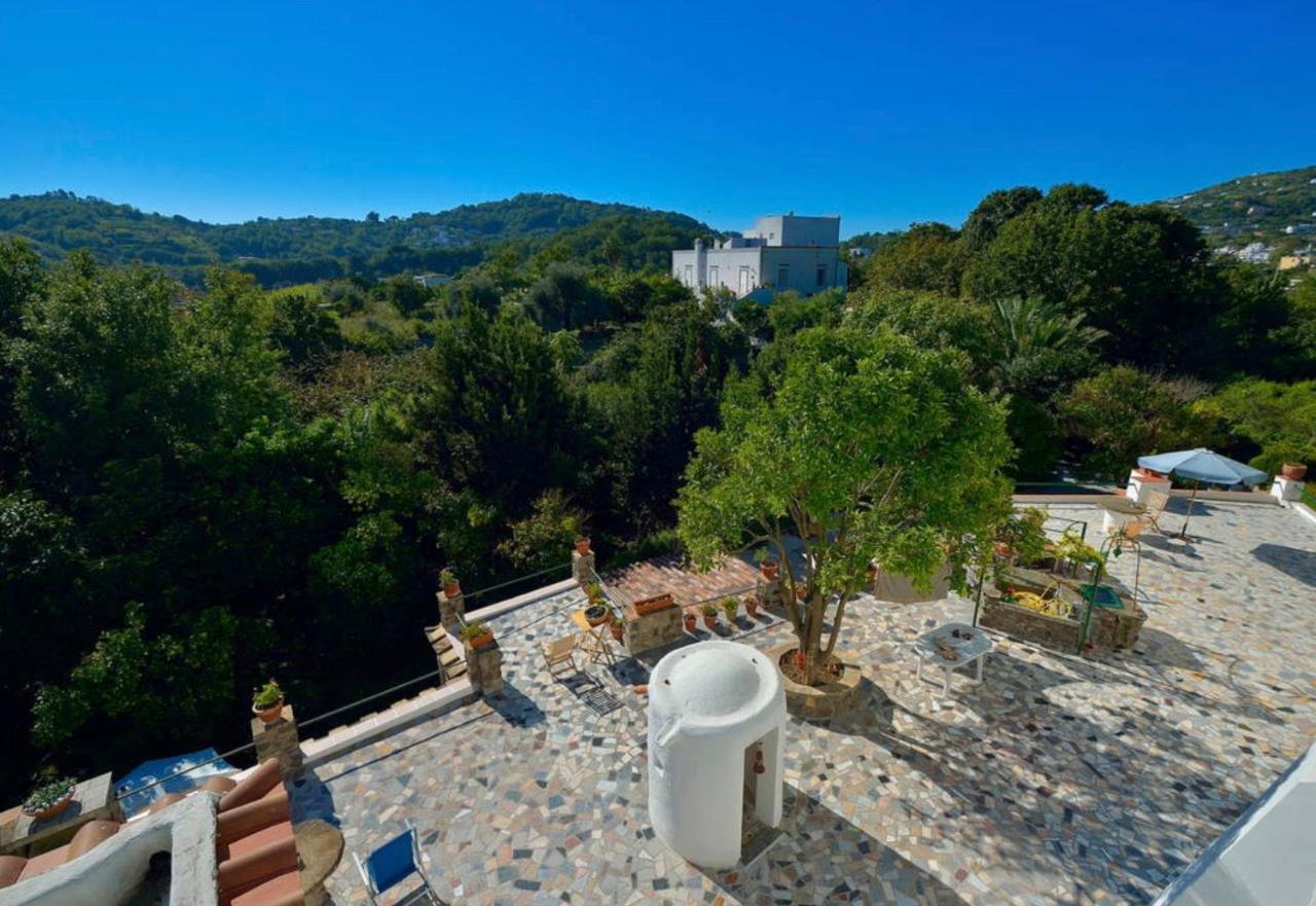 Villa Vincenzo Di Meglio Барано-д'Иския Экстерьер фото