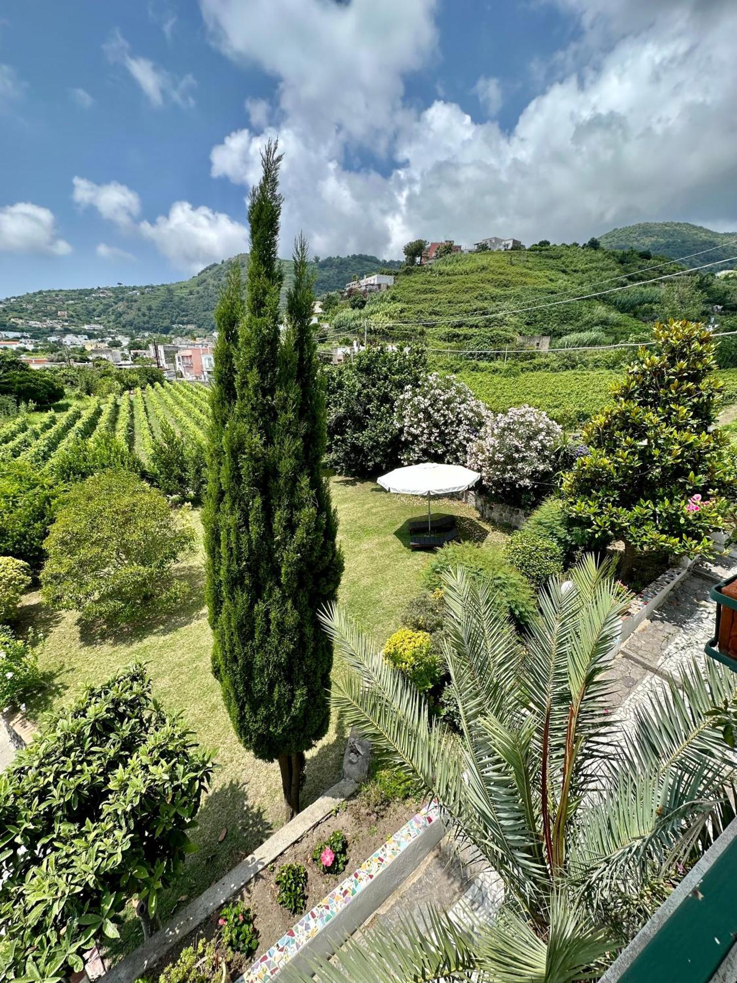 Villa Vincenzo Di Meglio Барано-д'Иския Экстерьер фото