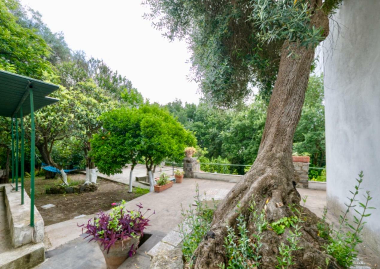 Villa Vincenzo Di Meglio Барано-д'Иския Экстерьер фото